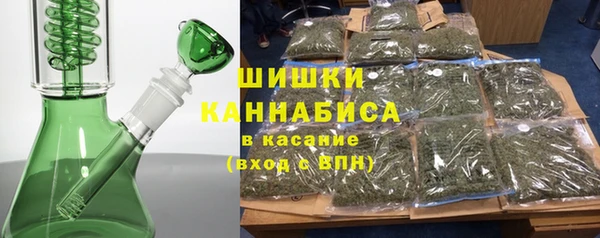 2c-b Горнозаводск