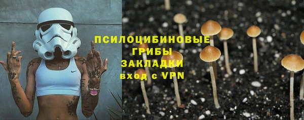 не бодяженный Вяземский