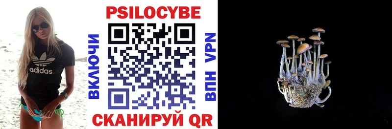 Галлюциногенные грибы Cubensis ОМГ ОМГ онион Жуковка